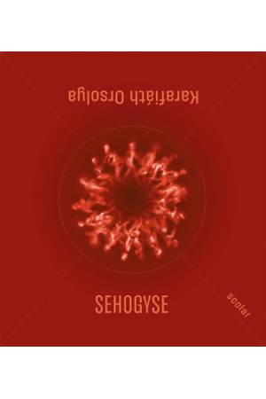 Sehogyse