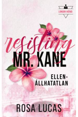 Resisting Mr. Kane - Ellenállhatatlan - (Különleges kiadás)