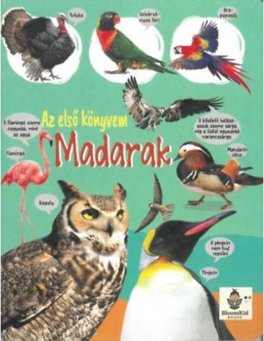 Az első könyvem: Madarak
