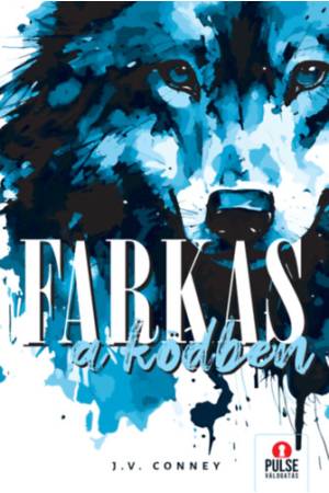 Farkas a ködben