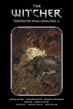 The Witcher / Vaják: Történetek Ríviai Geraltról II. - Alapkiadás