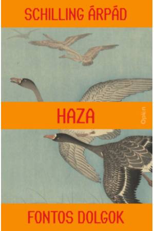 Haza