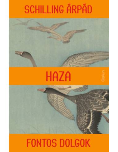 Haza
