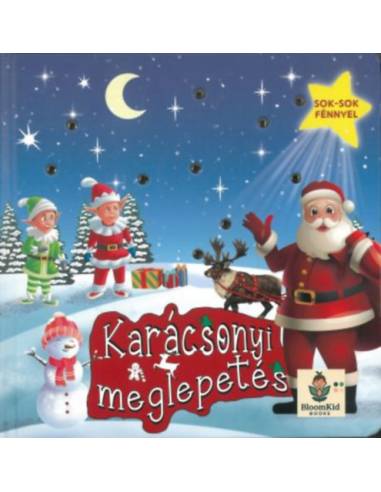 Karácsonyi meglepetés - Sok-sok fénnyel