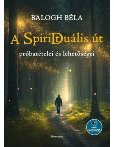 A spiriduális út próbatételei és lehetőségei