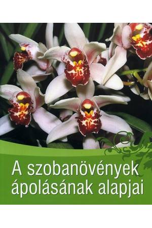 A szobanövények ápolásának alapjai