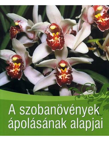 A szobanövények ápolásának alapjai