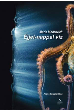Éjjel-nappal víz