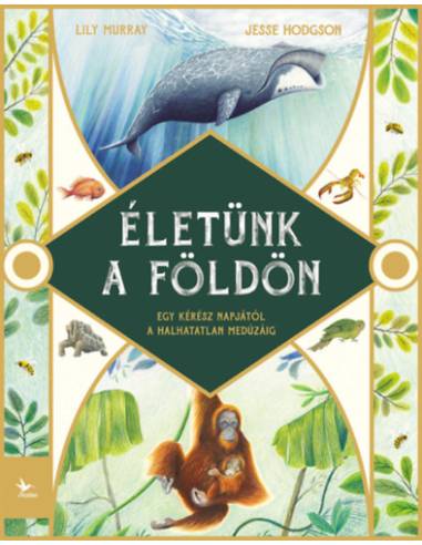 Életünk a Földön - Egy kérész napjától a halhatatlan medúzáig