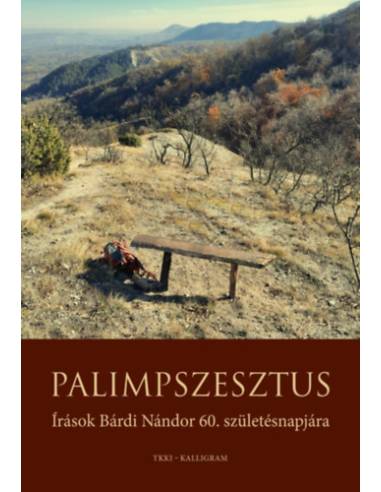 Palimpszesztus - Írások Bárdi Nándor 60. születésnapjára