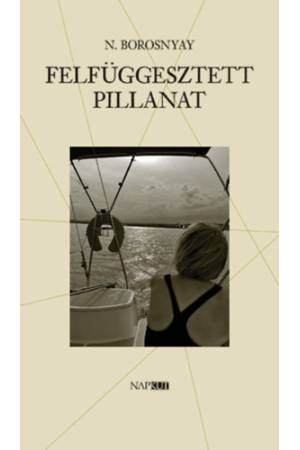 Felfüggesztett pillanat - N. Borosnyay Katalin