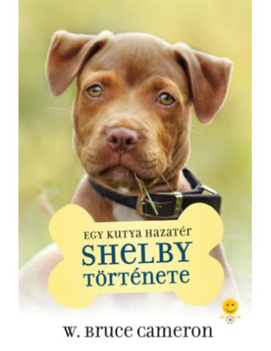 Egy kutya hazatér - Shelby története