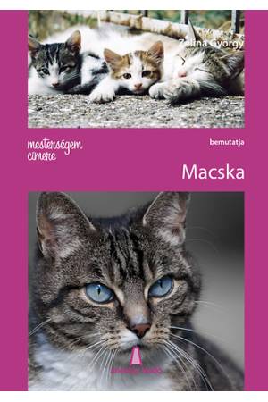 Mesterségem címere: Macska
