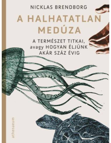 A halhatatlan medúza - A természet titkai, avagy hogyan éljünk akár száz évig