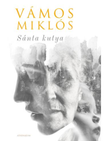 Sánta kutya