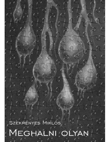 Meghalni olyan - Szekrényes Miklós