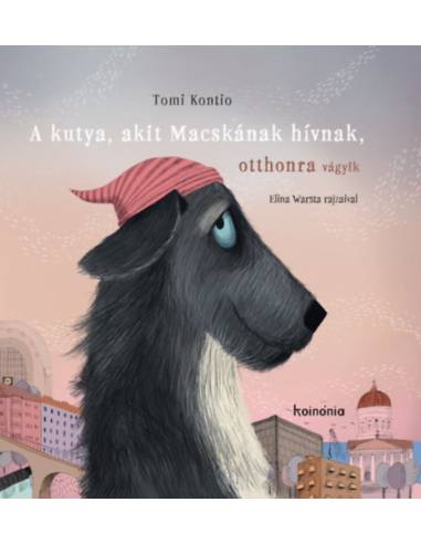 A kutya, akit Macskának hívnak, otthonra vágyik