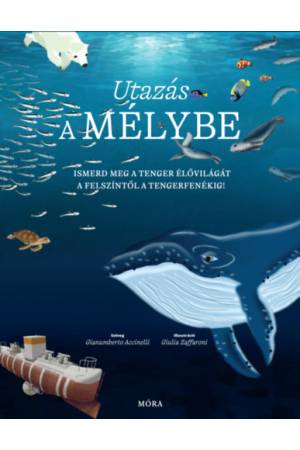 Utazás a mélybe - Ismerd meg a tenger élővilágát a felszíntől a tengerfenékig