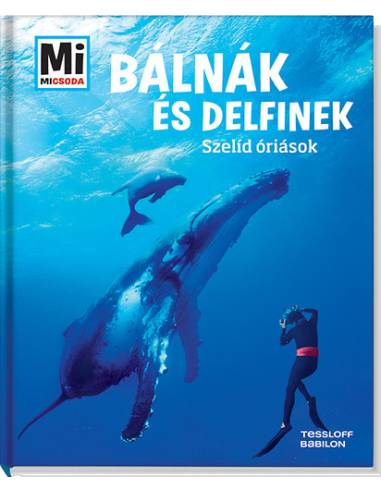 Bálnák és delfinek - Szelíd óriások - Mi Micsoda