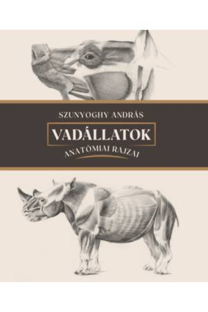 Vadállatok anatómiai rajzai