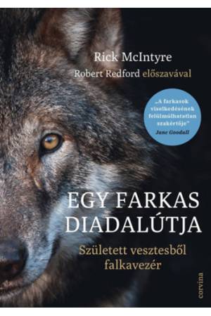 Egy farkas diadalútja - Született vesztesből falkavezér