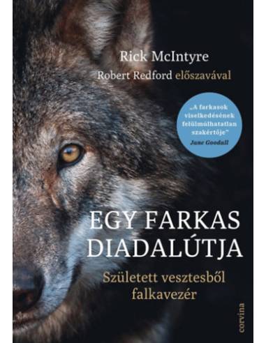 Egy farkas diadalútja - Született vesztesből falkavezér