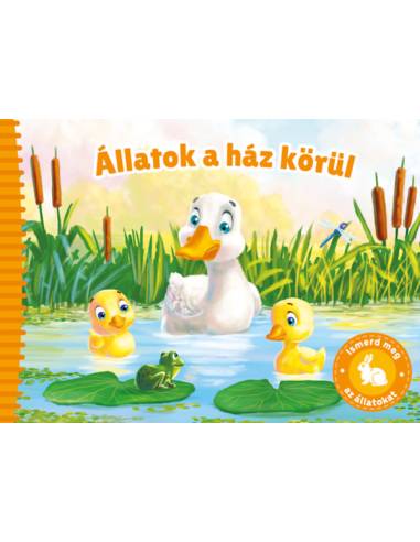 Ismerd meg az állatokat - Állatok a ház körül