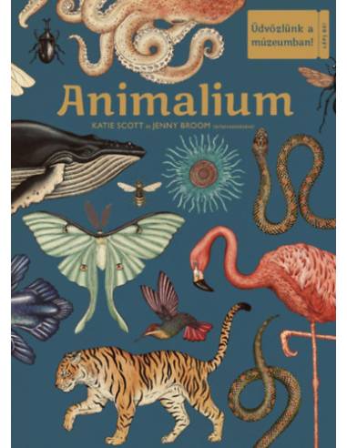 Animalium - Üdvözlünk a múzeumban!