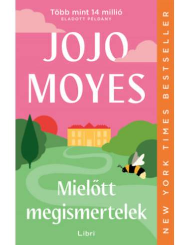Mielőtt megismertelek