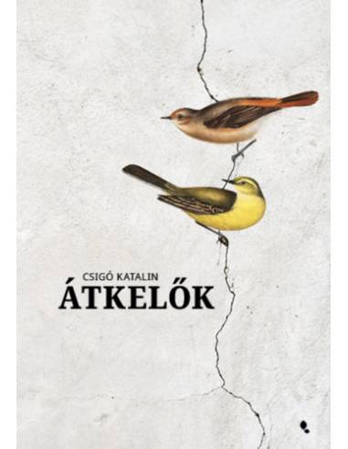 Átkelők