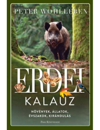 Erdei kalauz - Növények, állatok, évszakok, kirándulás