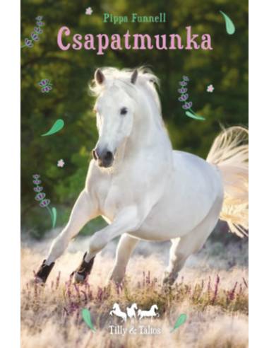 Csapatmunka - Tilly és Táltos