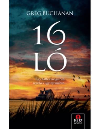 16 ló