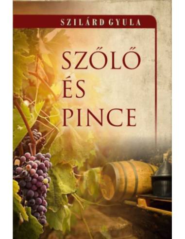 Szőlő és pince
