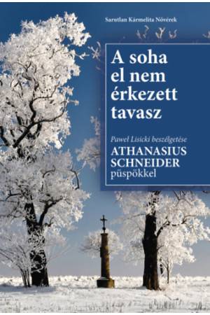 A soha el nem érkezett tavasz - Pawel Lisicki
