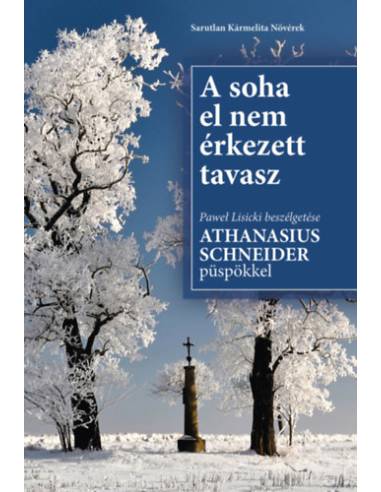 A soha el nem érkezett tavasz - Pawel Lisicki