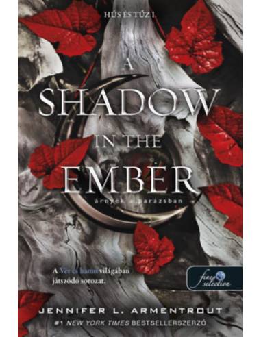 A Shadow in the Ember - Árnyék a parázsban - Hús és tűz 1.