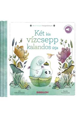 Két kis vízcsepp kalandos útja - Letölthető hangfelvétellel!