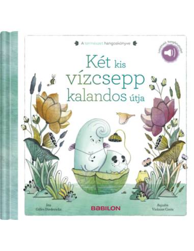 Két kis vízcsepp kalandos útja - Letölthető hangfelvétellel!