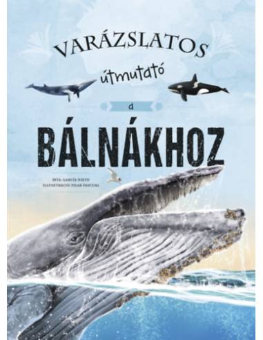 Varázslatos útmutató a bálnákhoz