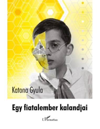Egy fiatalember kalandjai