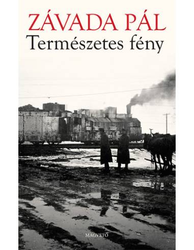 Természetes fény - Az archív képek regénye