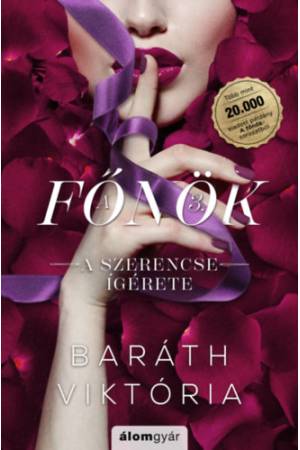 A szerencse ígérete - A főnök 3. - (Különleges kiadás)