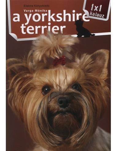 A yorkshire terrier - 1x1 kalauz