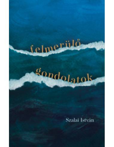 Felmerülő gondolatok