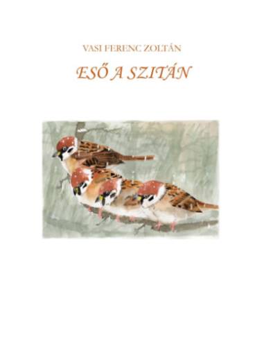 Eső a szitán