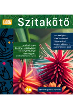 Szitakötő 2024/66. - Horgas Judit (Szerk.)