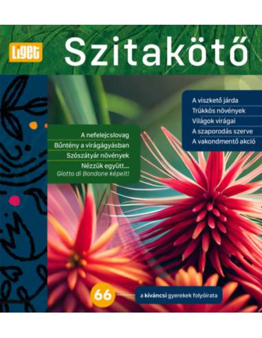 Szitakötő 2024/66. - Horgas Judit (Szerk.)