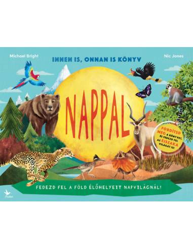 Nappal / Éjszaka - Innen is, onnan is könyv