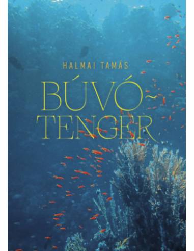 Búvótenger - Esszék, kritikák, olvasatok